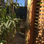 Du Valcoquet
