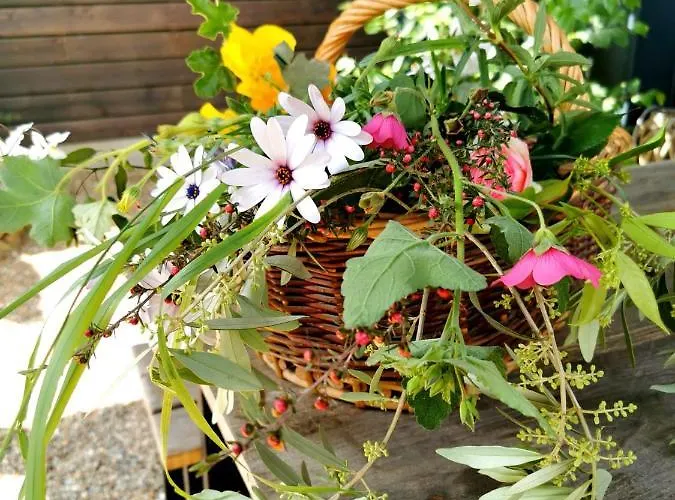 Du Valcoquet Apartman Saint-Brévin-les-Pins