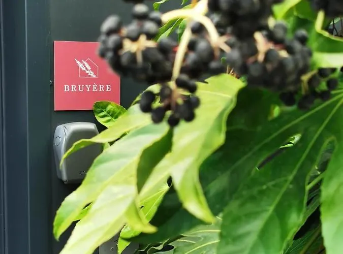 Apartman Du Valcoquet *