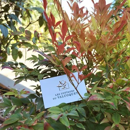 Du Valcoquet * Saint-Brevin-les-Pins