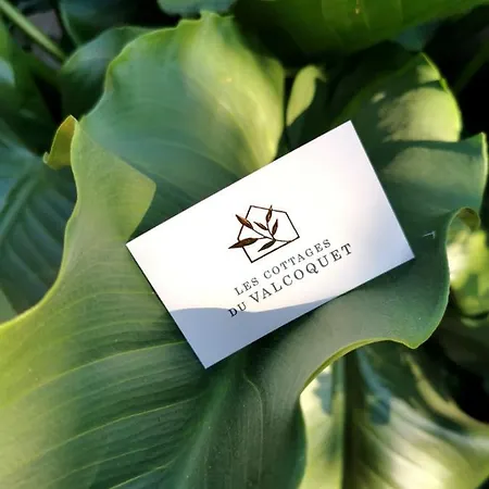 Διαμέρισμα Du Valcoquet *