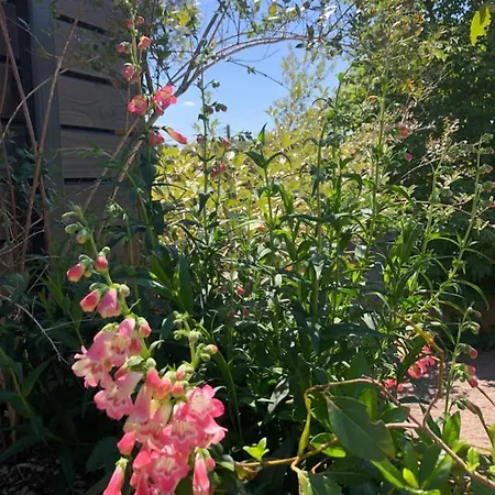 Du Valcoquet Διαμέρισμα *