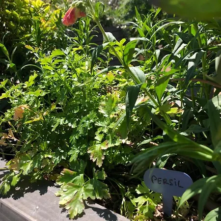 Du Valcoquet Διαμέρισμα