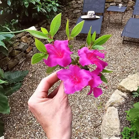 Du Valcoquet
