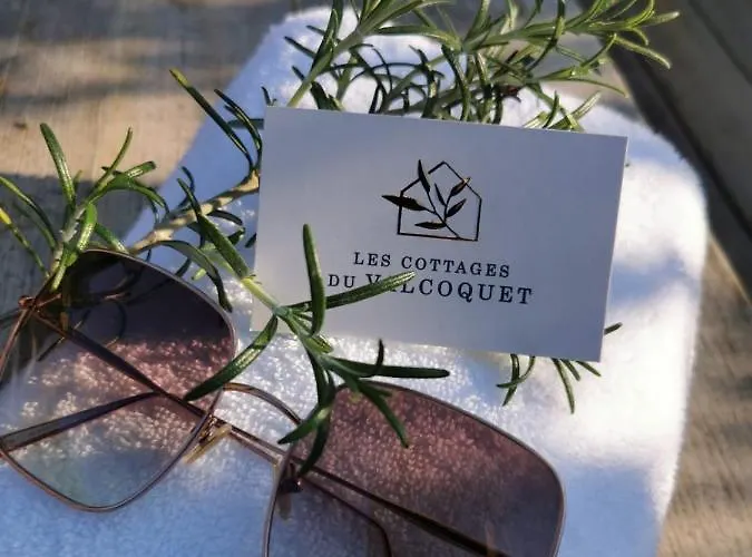 Du Valcoquet Apartment Saint-Brévin-les-Pins