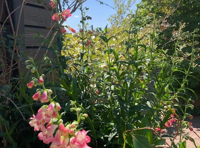 Du Valcoquet Apartment *