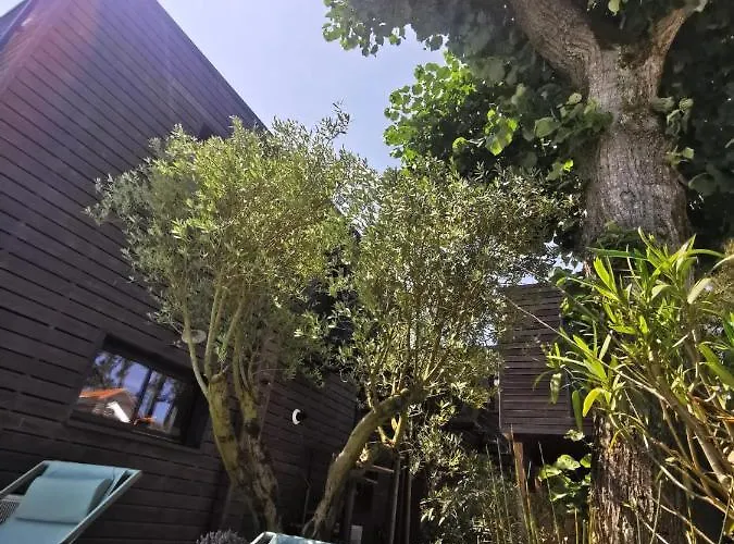 Du Valcoquet Apartment *