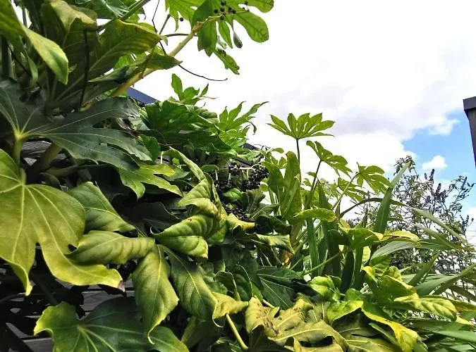 Du Valcoquet Saint-Brévin-les-Pins