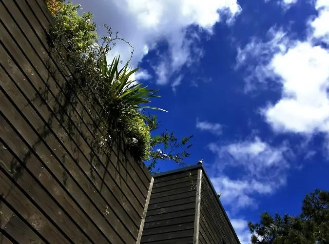 Du Valcoquet * Saint-Brévin-les-Pins